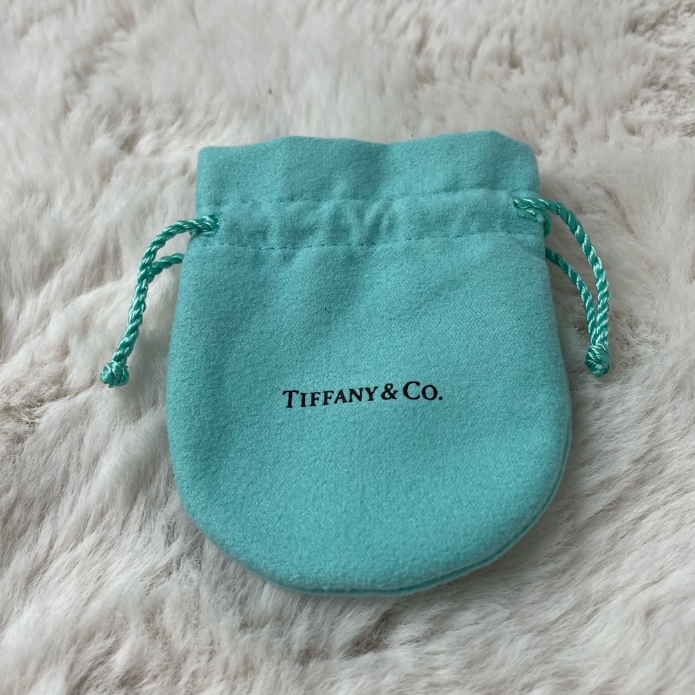 COPY - Tiffany & Co. Dust Bag